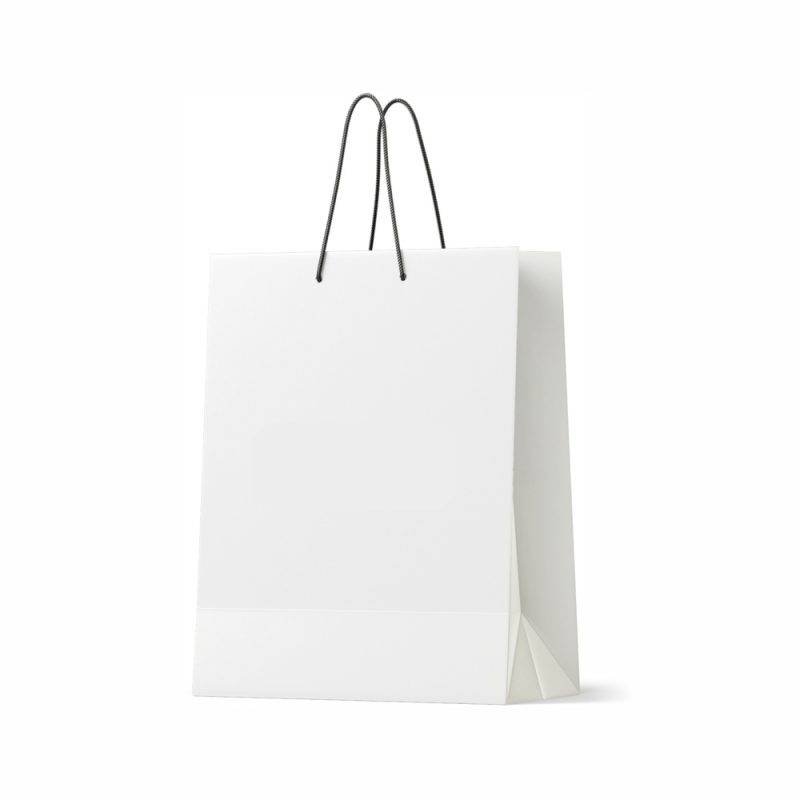 Paper Bag_resized